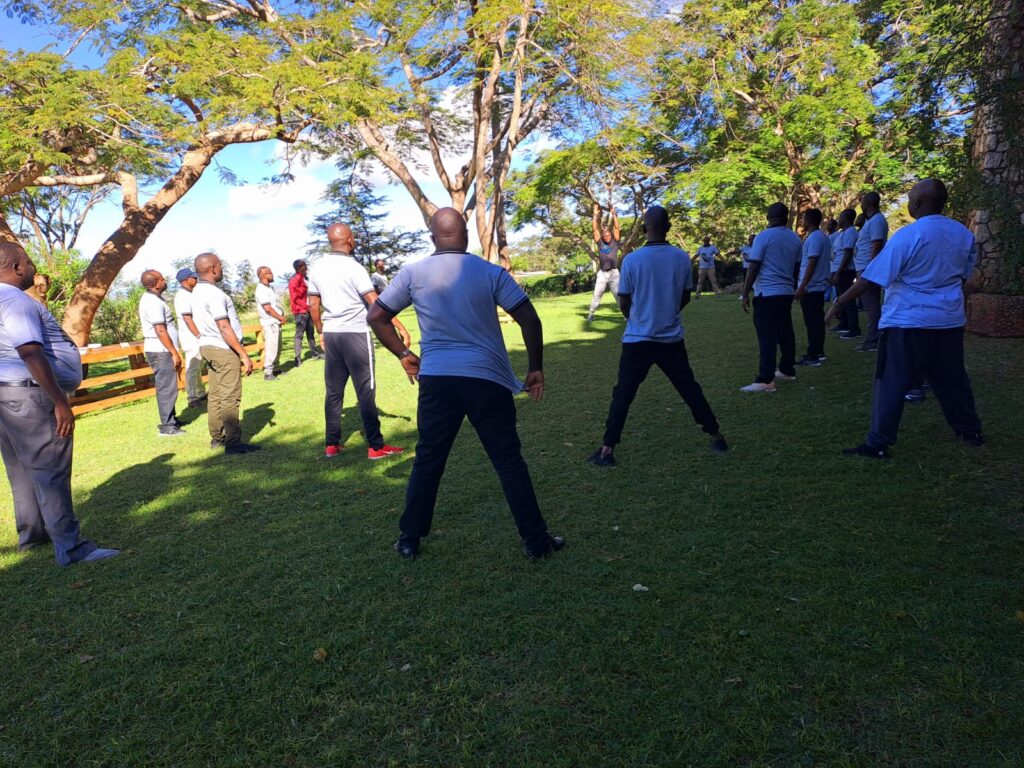 Training with sakanis